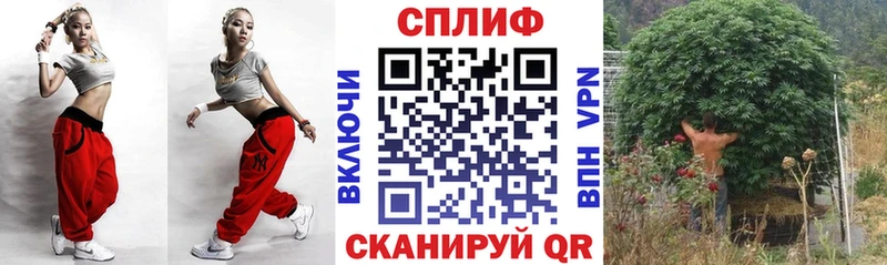 Каннабис индика  Ленинградская 